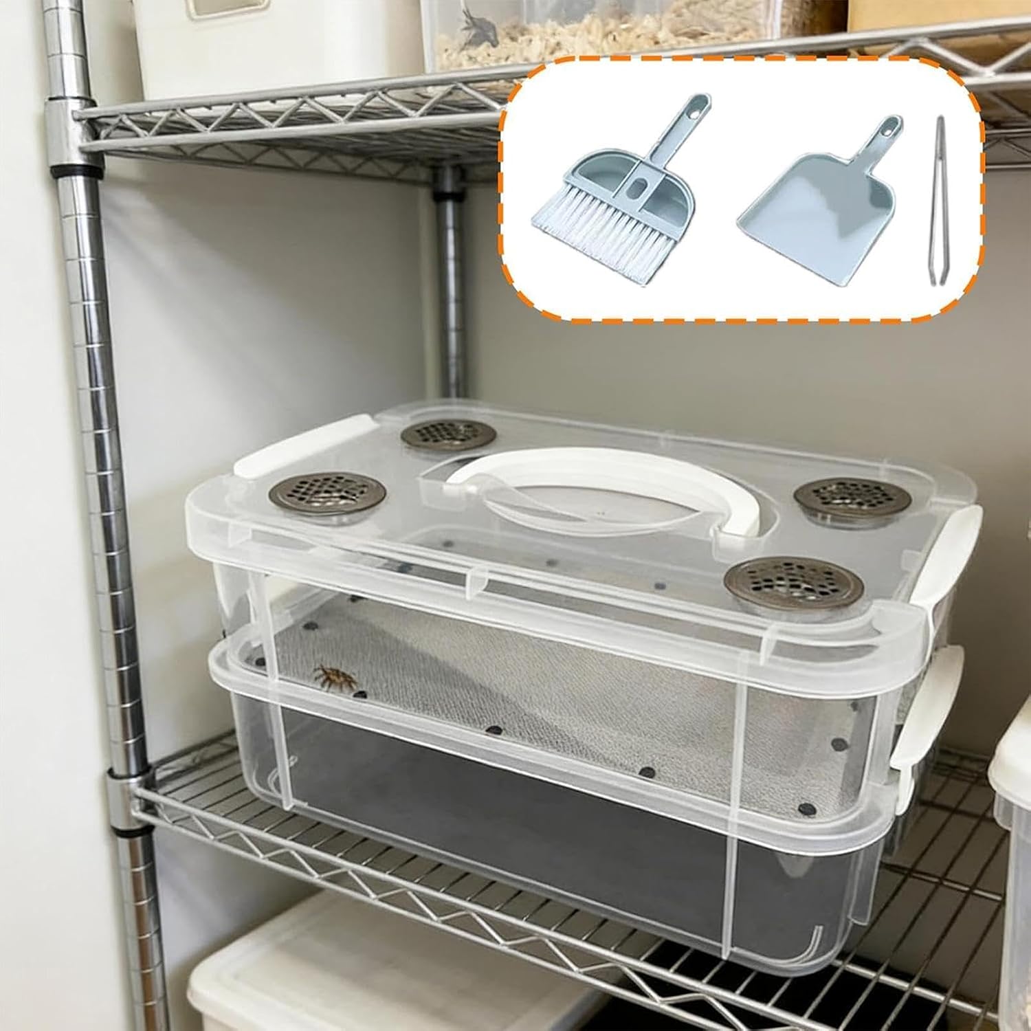 Mealworm Farm,Ventilated Lid Transparent Fine Mesh | Mealworm Breeding Containers - for Reptiles, Birds, Chickens, Lizards, Bearded Dragon, Frogs, Tortoises
