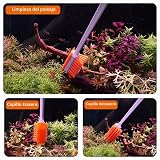 Ver la foto 6