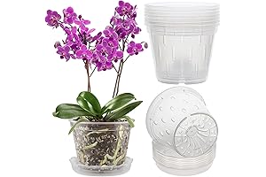 REMIAWY Orchid Pot, 8 Pack Clear Plastic Orchid Pots with Holes and Matching Saucers