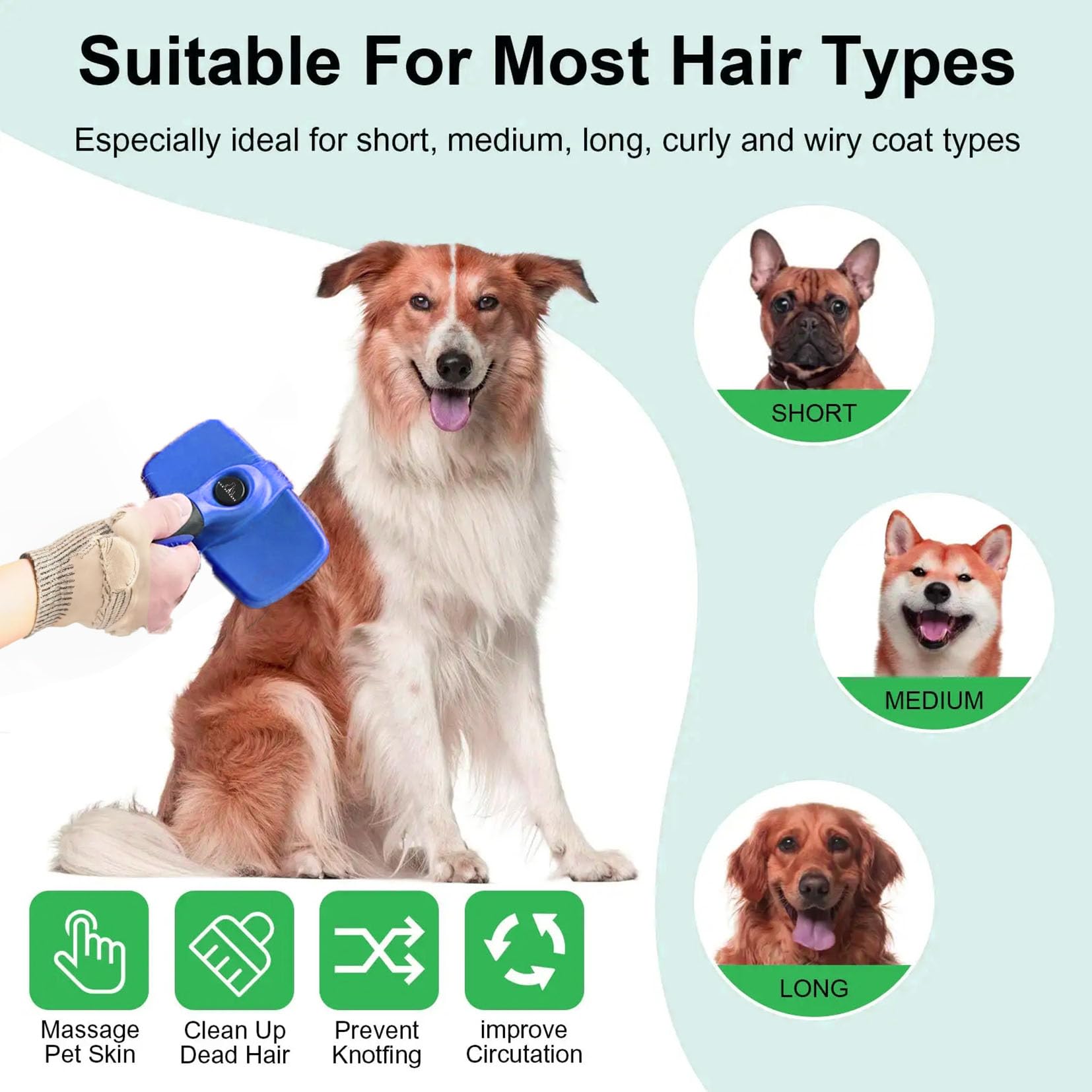 H&A PETCARE® Self-Cleaning Slicker Dog Brush And Cat Brush, Perfect for Short Haired Cats Long Haired Cats - Image 2