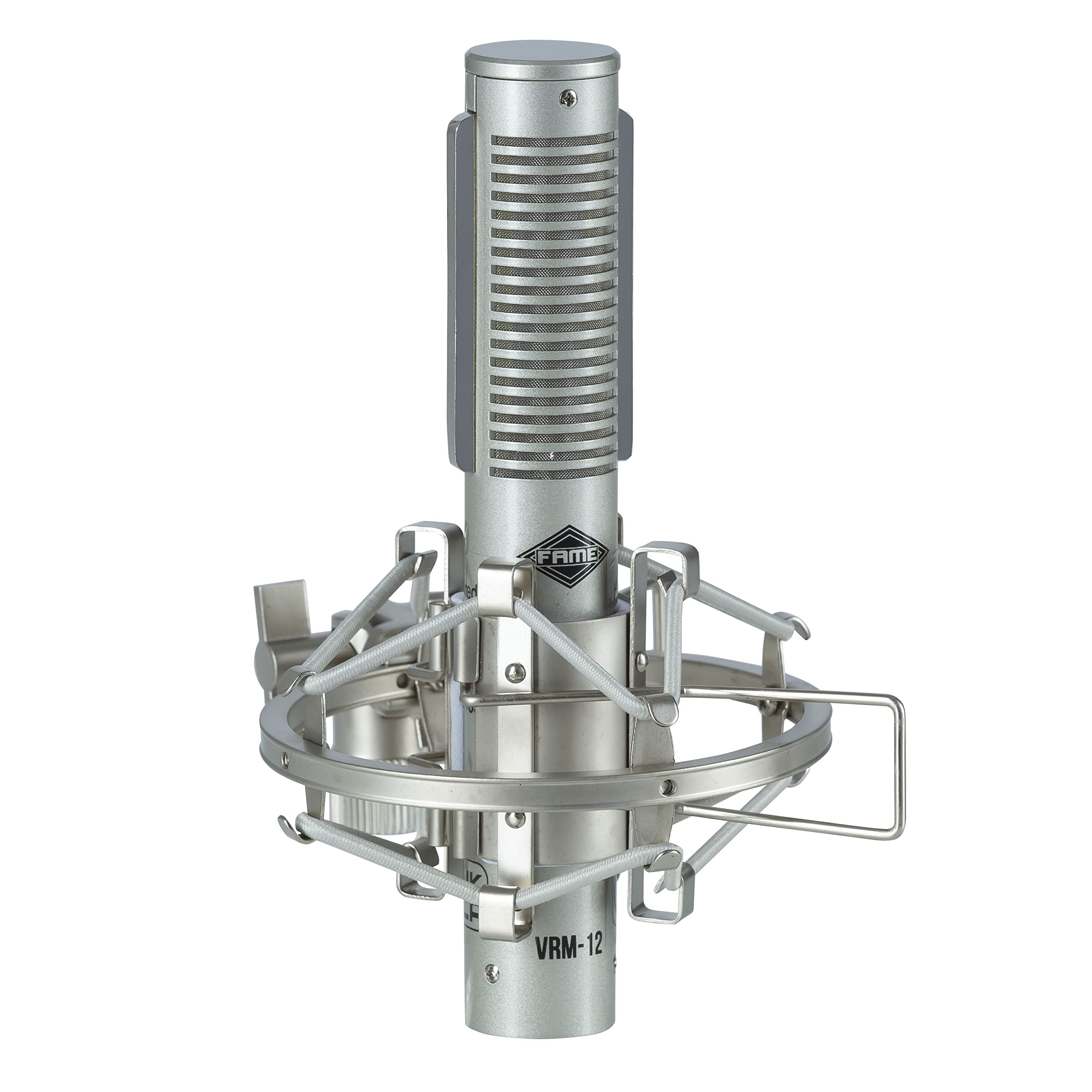 Fame Audio Pro Series VRM-12, Bändchenmikrofon in Silber, Richtcharakteristik Acht, XLR 3 Pol Anschluss, inklusive Etui, Ideal für Studioaufnahmen, Instrumenten und Gesang