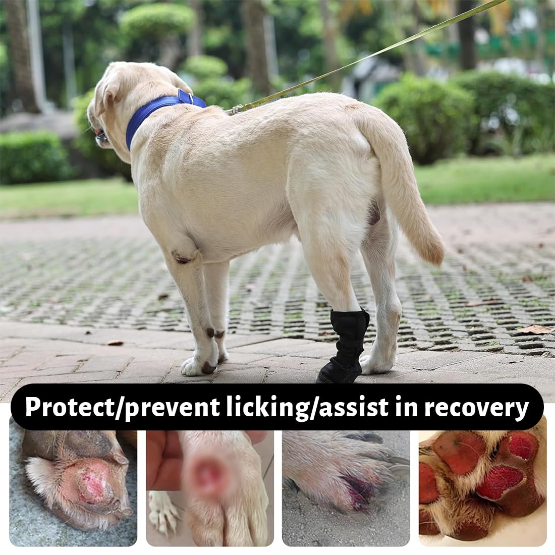 Chaussettes taille M pour pattes de chien, pour récupération post-op, empêchent léchage, imperméables antidérapantes, anti-fuite, chausson chien, chaussure chien