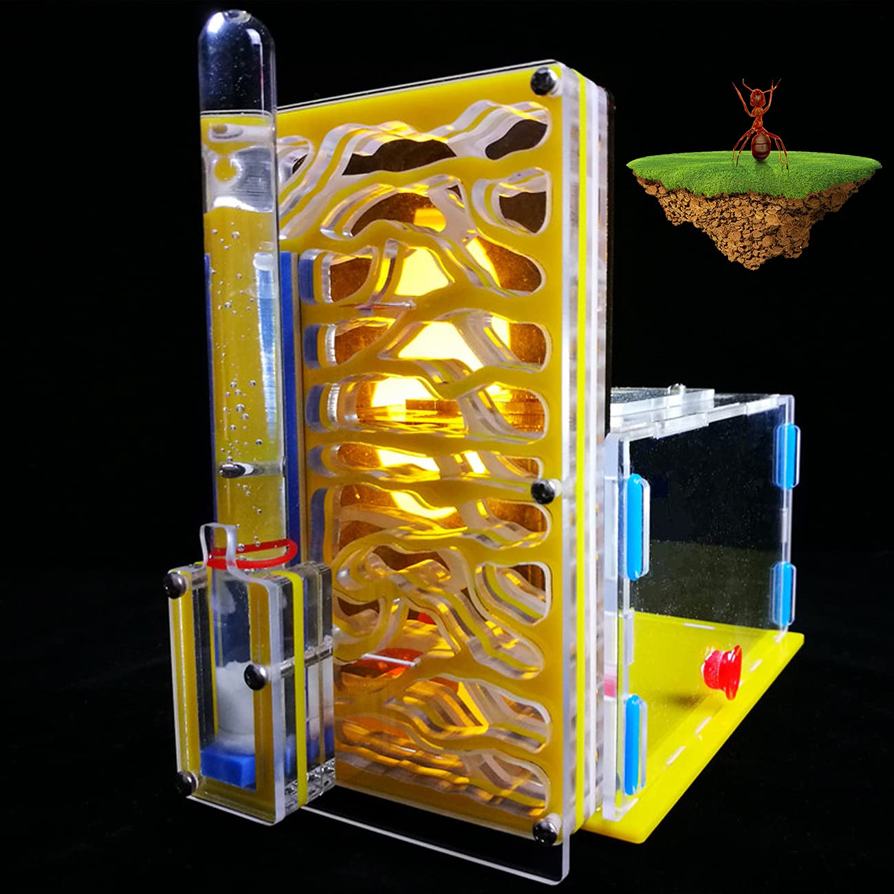 Moisturizing Water Tower Ant Lair, Ant Farm Box, Durable and Environmentally Friendly Material, Transparent, Easy to use, for Learning Science Toy,H