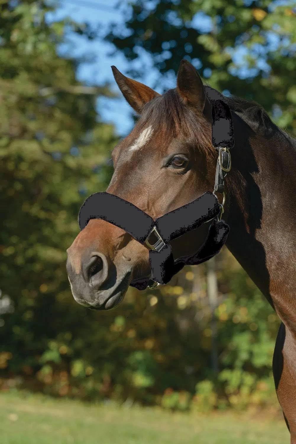 Shires ARMA SupaFleece Halter Set (White, 9 Piece)