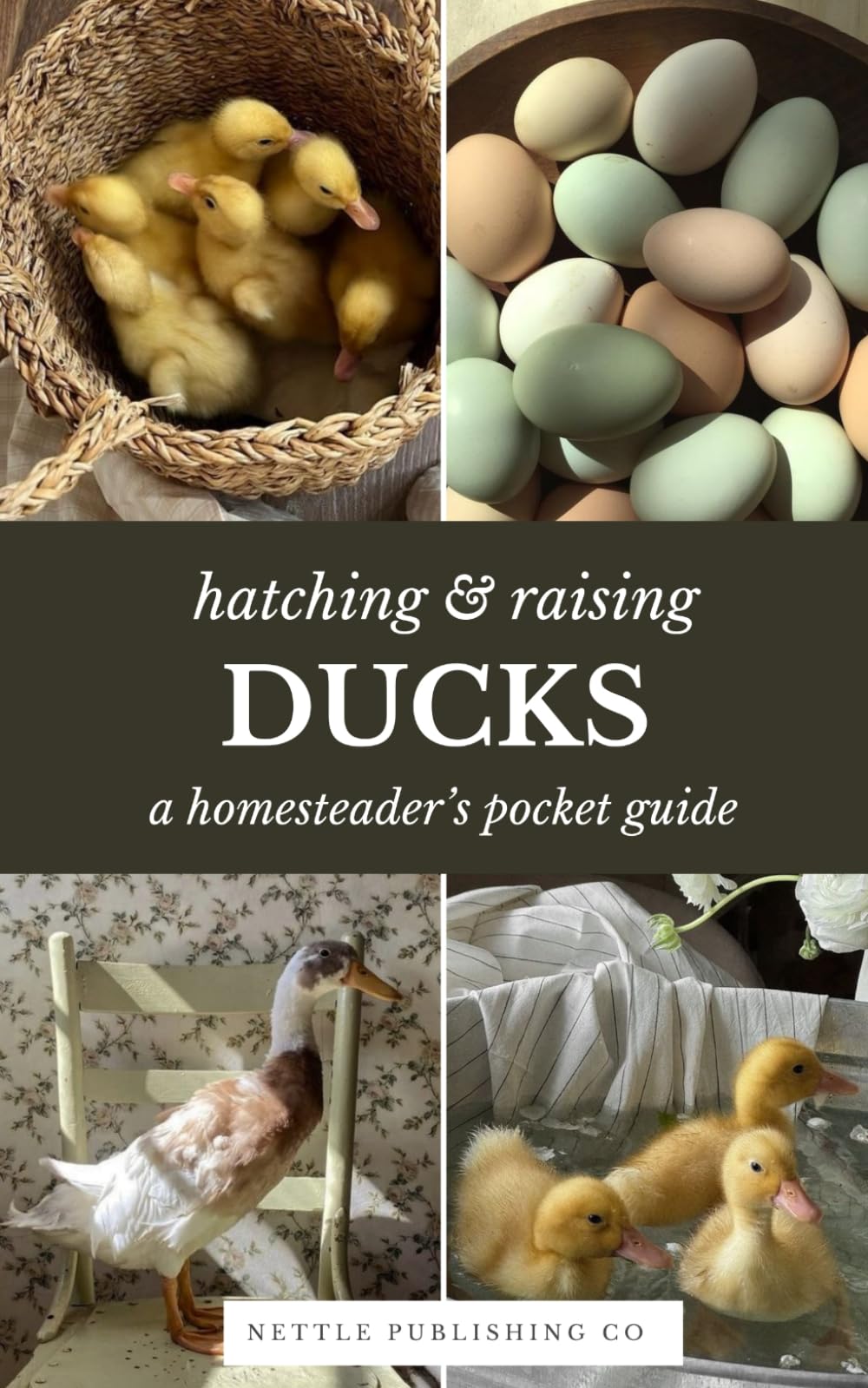 Hatching & Raising Ducks | A Homesteader’s Pocket Guide: A Detailed Guide to Incubating, Hatching, and Raising Healthy Heritage Ducks for Homesteaders and Backyard Flocks