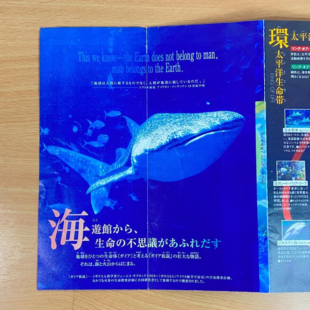海がきおえる　パンフレット 海がきおえる パンフレット ocean_waves_brochure_zine.jpg?