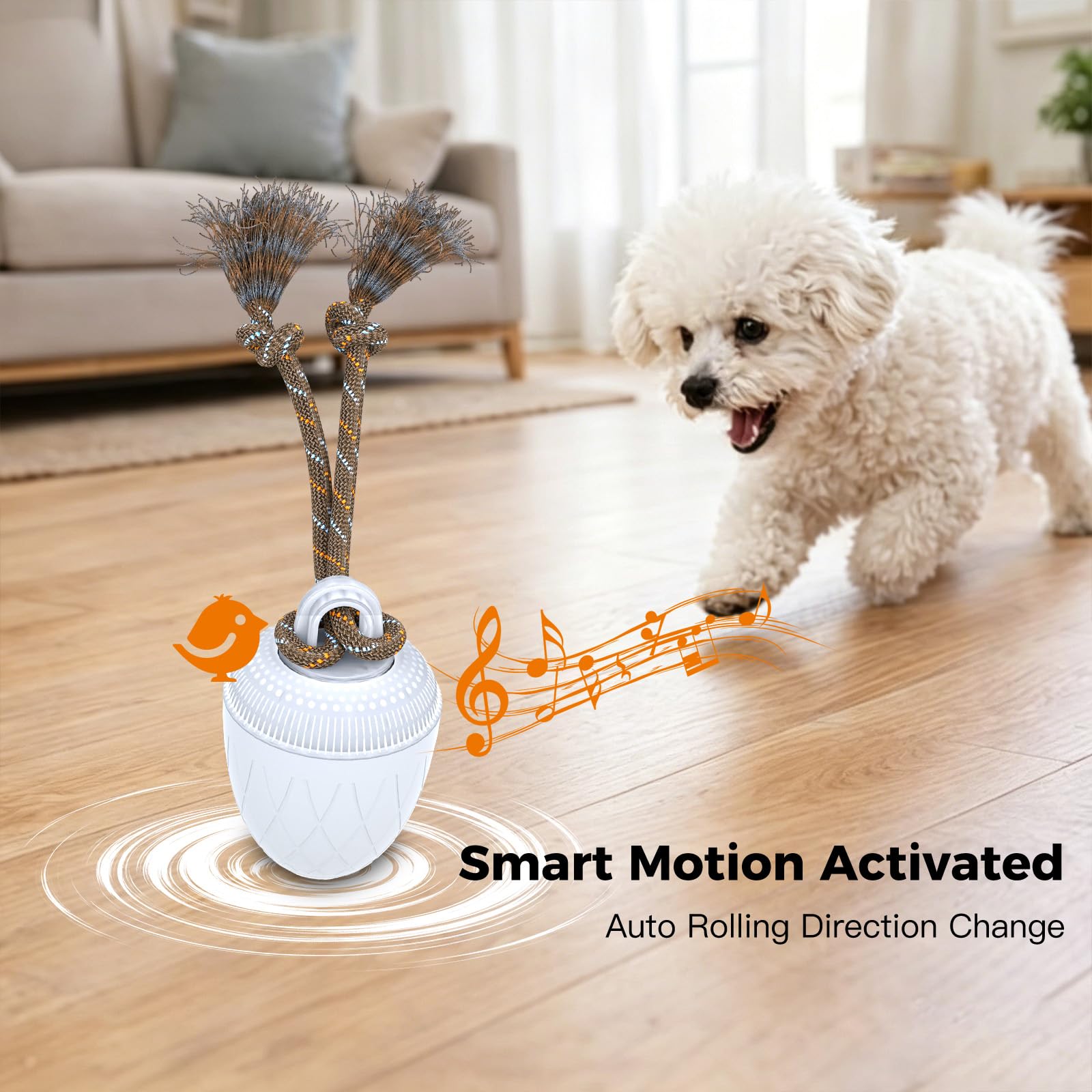 Jouet interactif pour chien de taille moyenne et grande - Jouet pour chien à mouvement automatique avec sons d'oiseaux et corde, balle intelligente rechargeable par USB avec modes rapide et