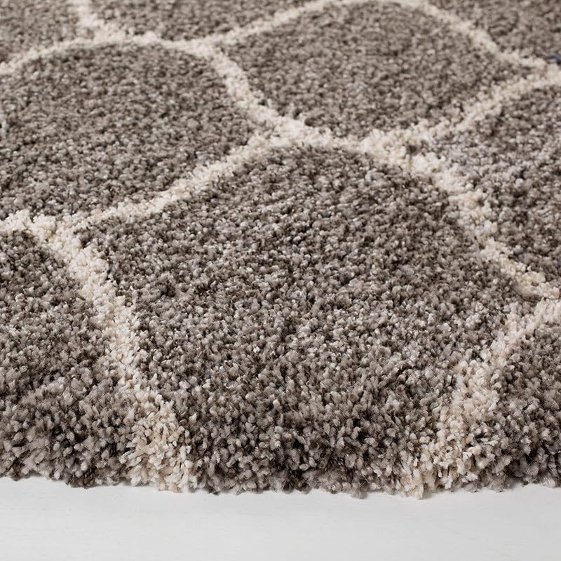 Image of Shaggy Area Rug for Living Room and Bedroom 3X5 FT Soft Plush Floor Carpet with Fluffy Texture, Modern Decorative Rug,Bedside and Indoor Spaces,LIGHTGRY