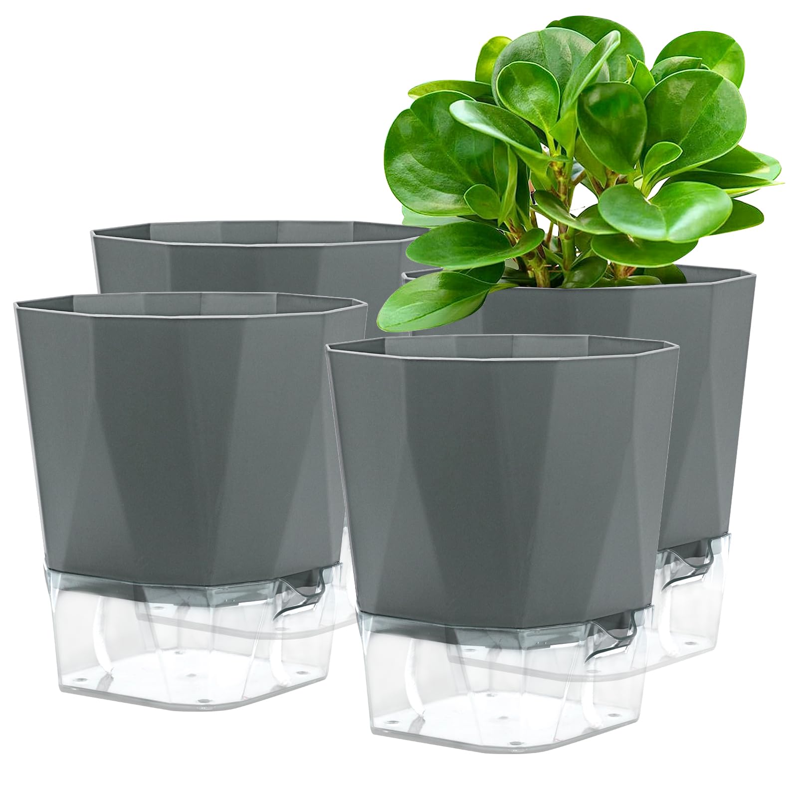 Windfromort Kräutertopf Set 3-tlg - Selbstbewässernd Für Küchenkräuter