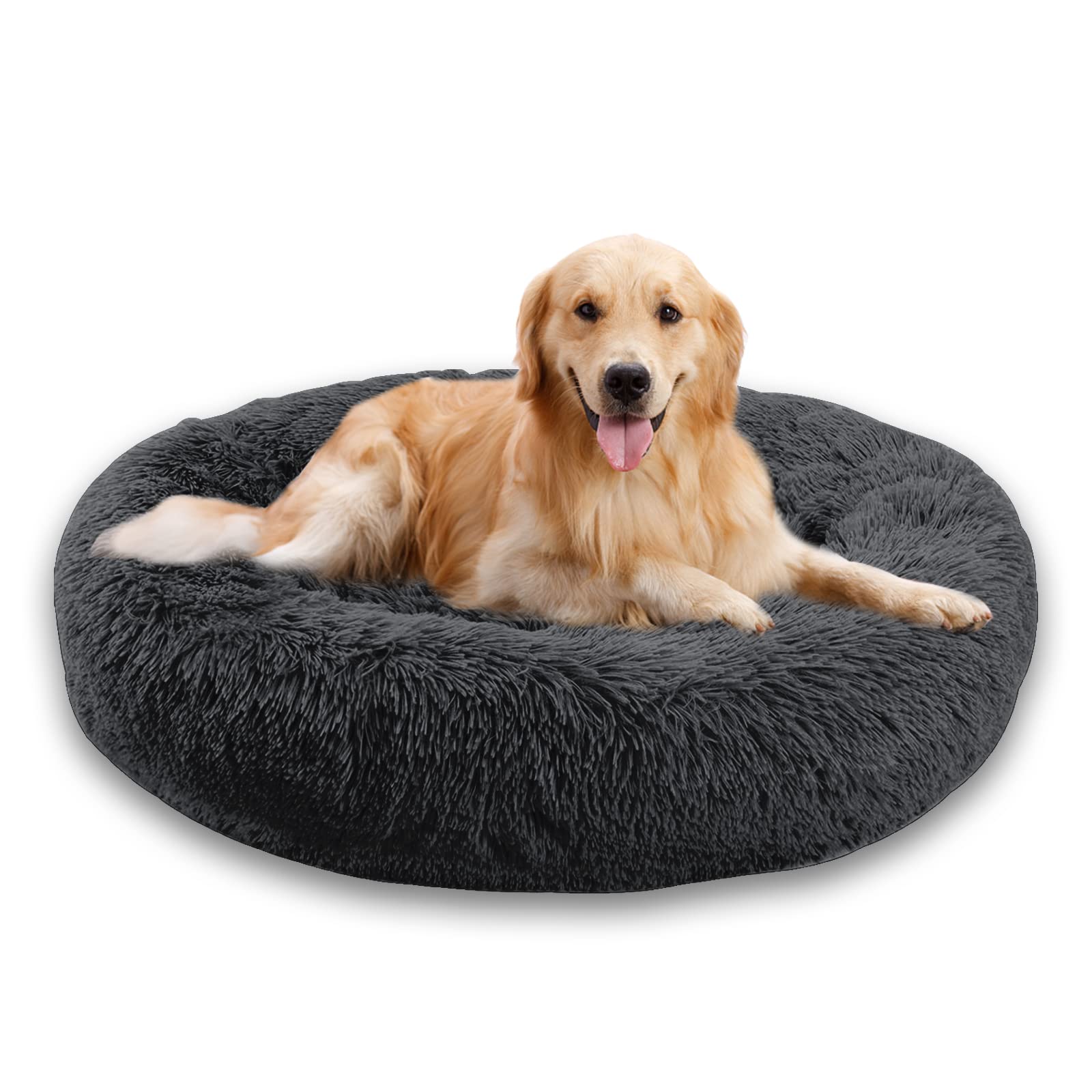 Photo 1 of Dog Bed
