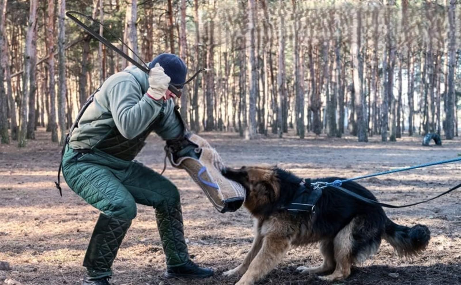 Cravache pour Chien,cravache de Dressage pour Chien en Cuir de Vachette avec poignée, Berger Allemand, entraînement pour Chien de Travail, Fouet pour Chien de Taille Moyenne