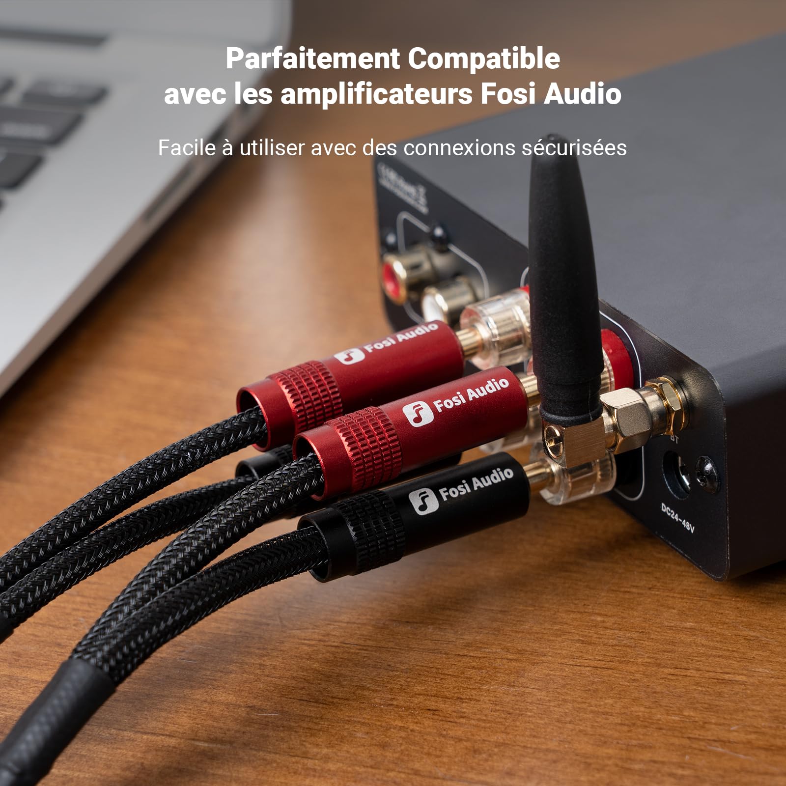 Fosi Audio Fiches Bananes pour Câbles d'enceintes, 2 Paires Plaquées or