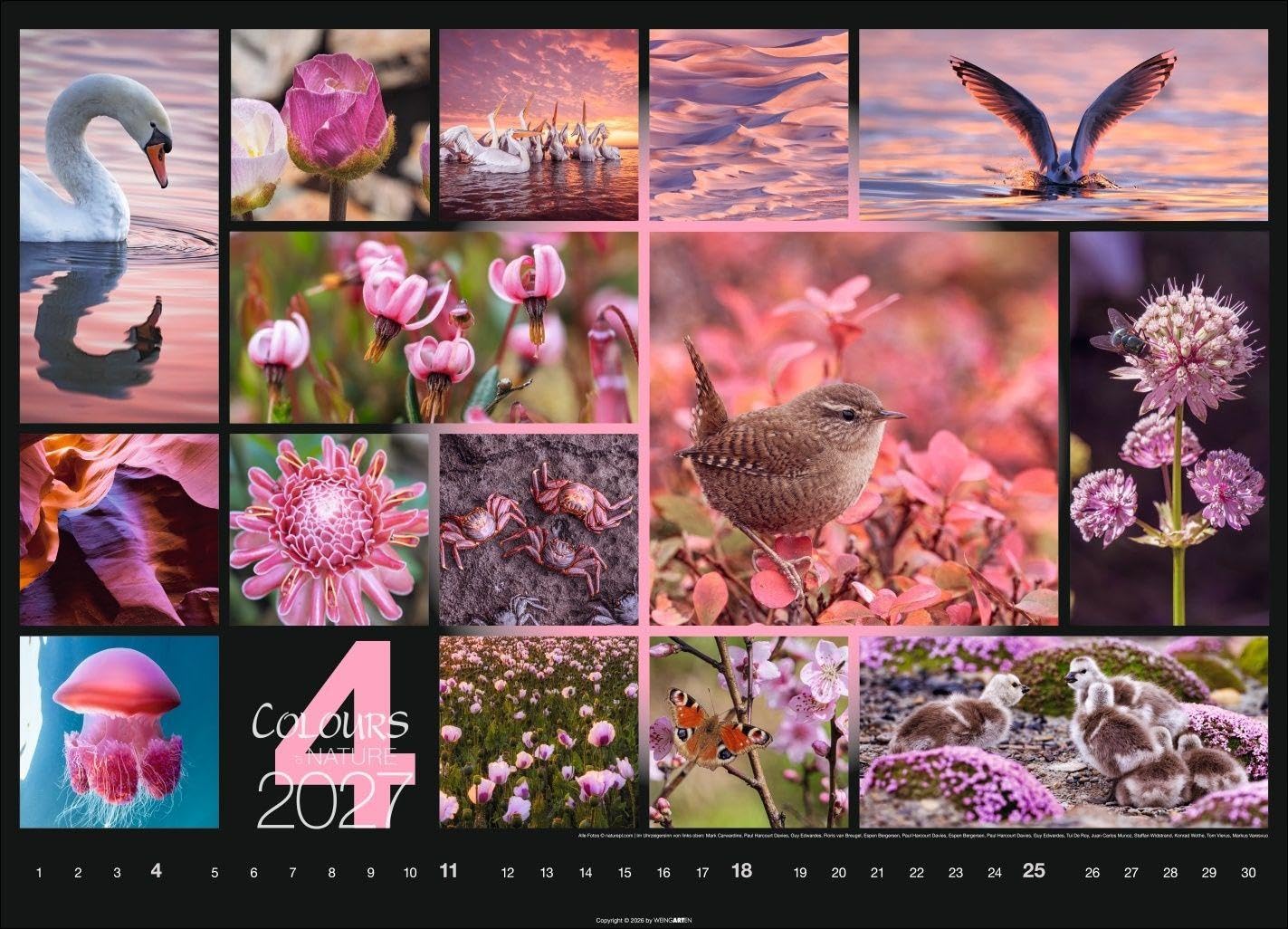 Colours of Nature Kalender 2027: Großer Foto-Wandkalender im Querformat 68 x 49 cm. Natur-Kalender 2027 mit harmonischen Bild- und Farbkompositionen für jeden Monat.