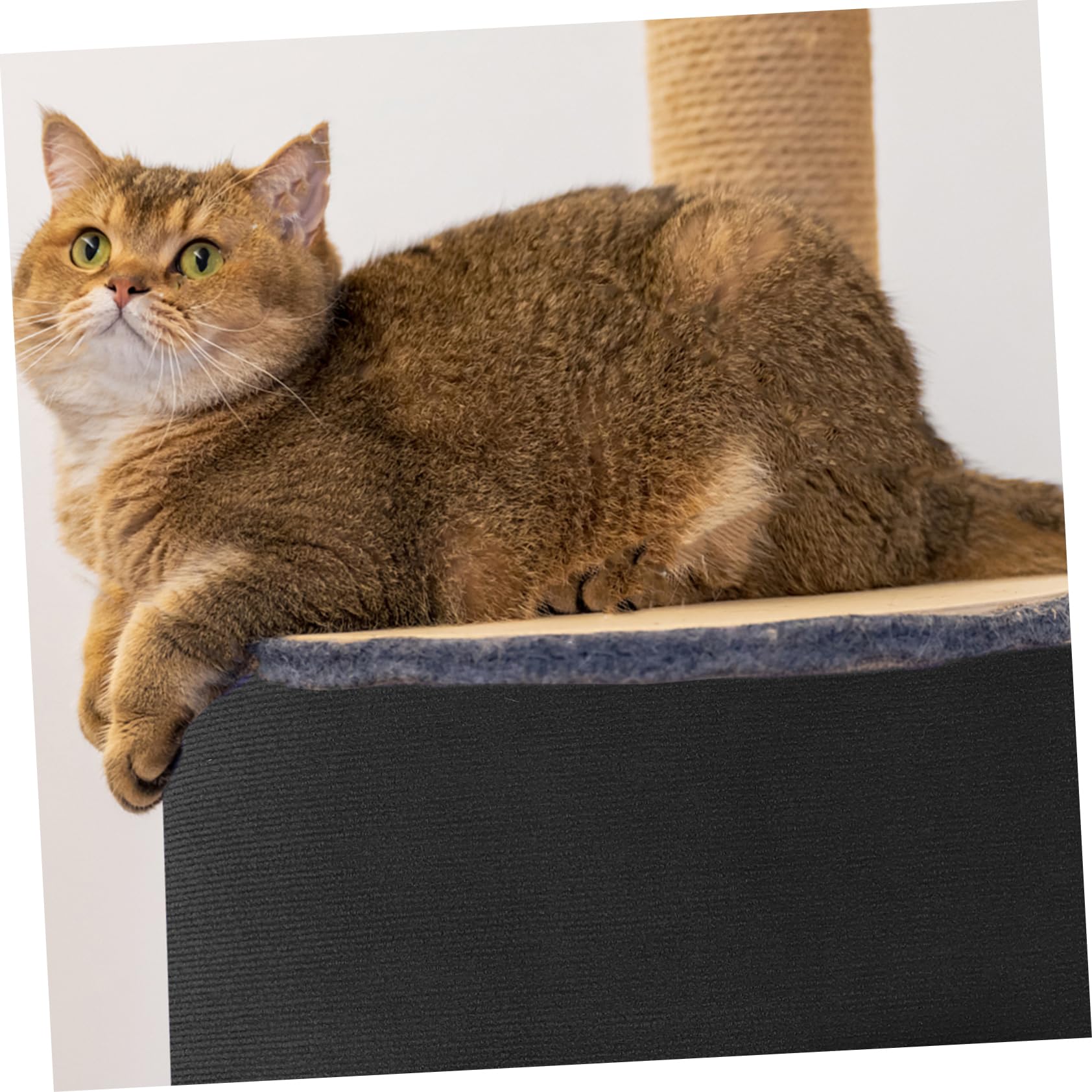 Alfombra Autoadhesiva para Rascar Gatos Recortable Negro