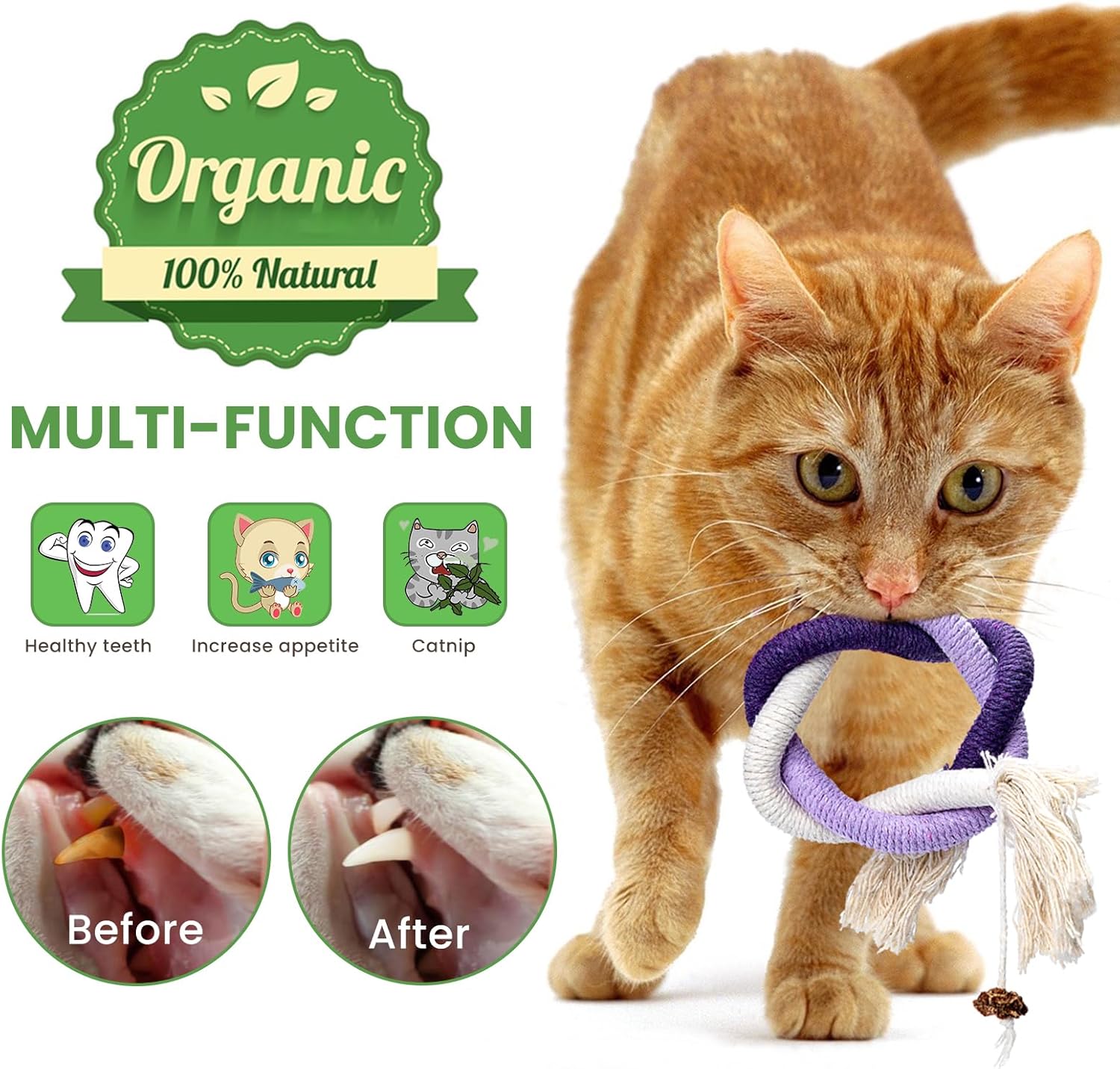 winbarry Cat Toys, Interactive Cat Toy for Indoor Cats, Kitten Teething Cats Chew Nip Toy Rope, Safe Teeth Cleaning Chew 8 711zl+BT0yL. AC SL1500