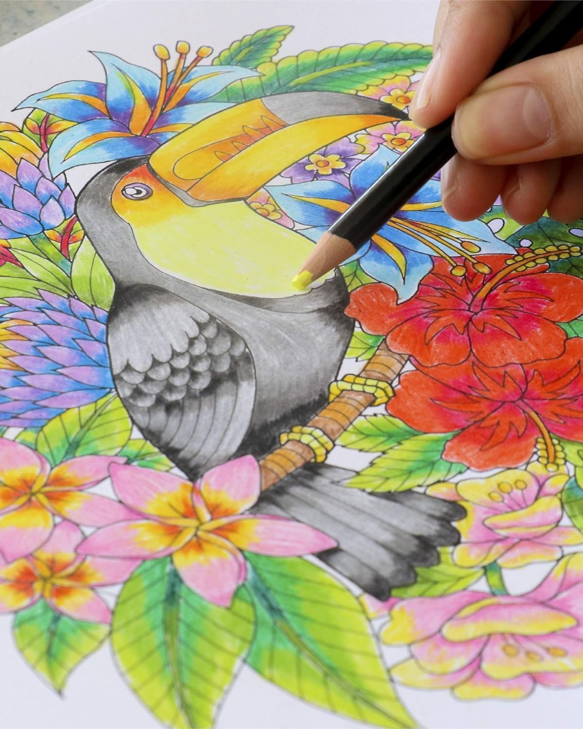 ColorIt Colorful Tropical Scenes Adult Coloring Book + ColorIt Blissful Scenes Adult Coloring Book, 50 Single-Sided Designs for each Book, Thick Smooth Paper, Lay Flat Hardback Covers