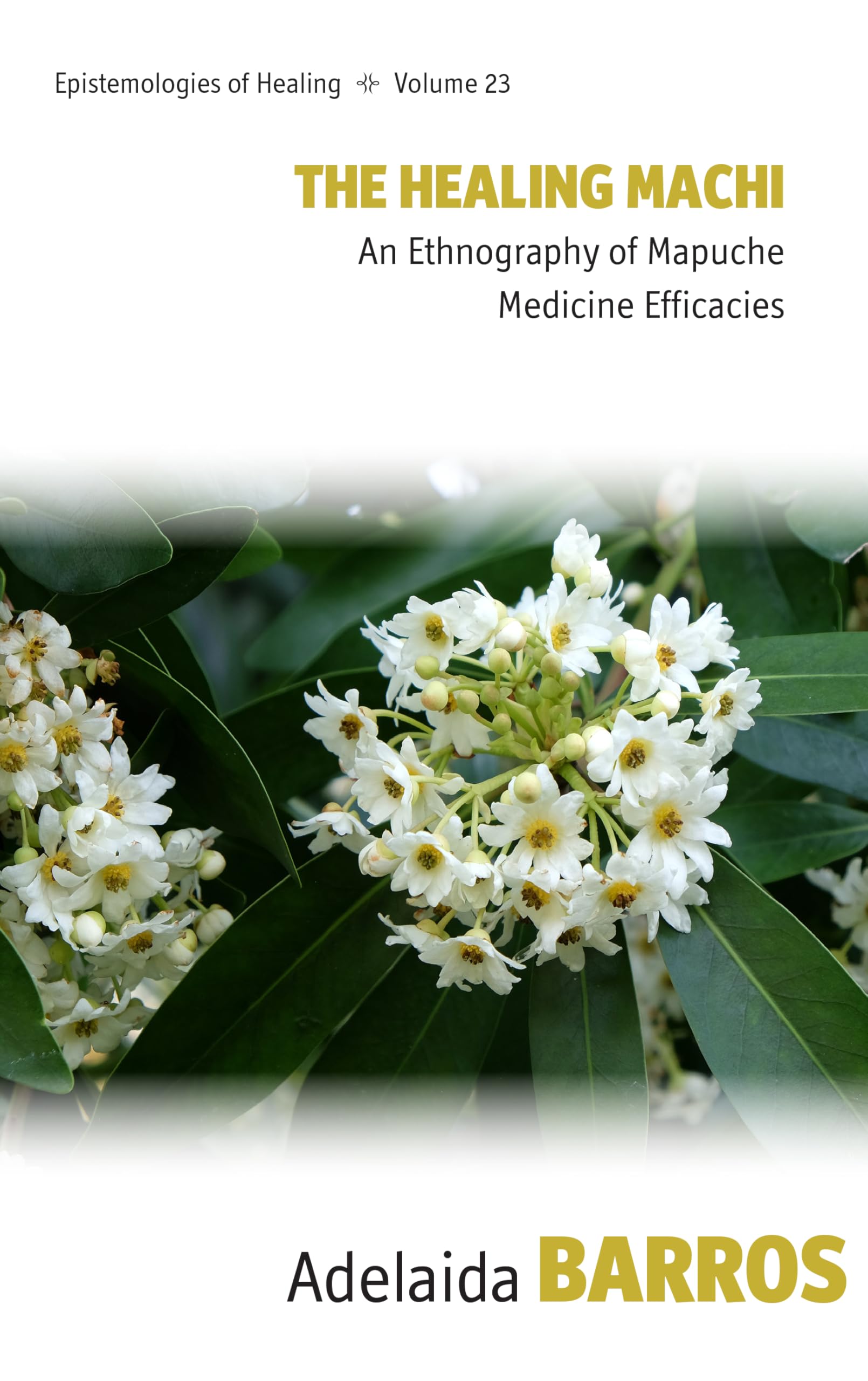 The Healing Machi: An Ethnography of Mapuche Medicine Efficacies (Epistemologies of Healing, 23)