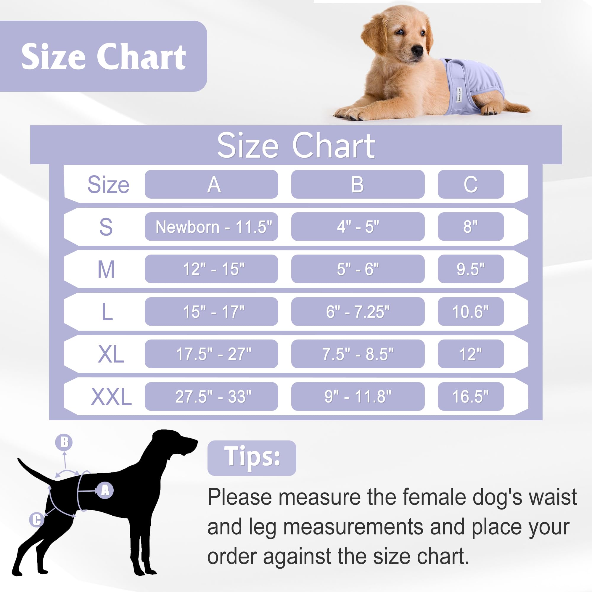 Paquete de 5 pañales reutilizables para perros, altamente absorbentes, para mascotas con incontinencia o micción frecuente, pañales para perros talla XL, rosa y morado