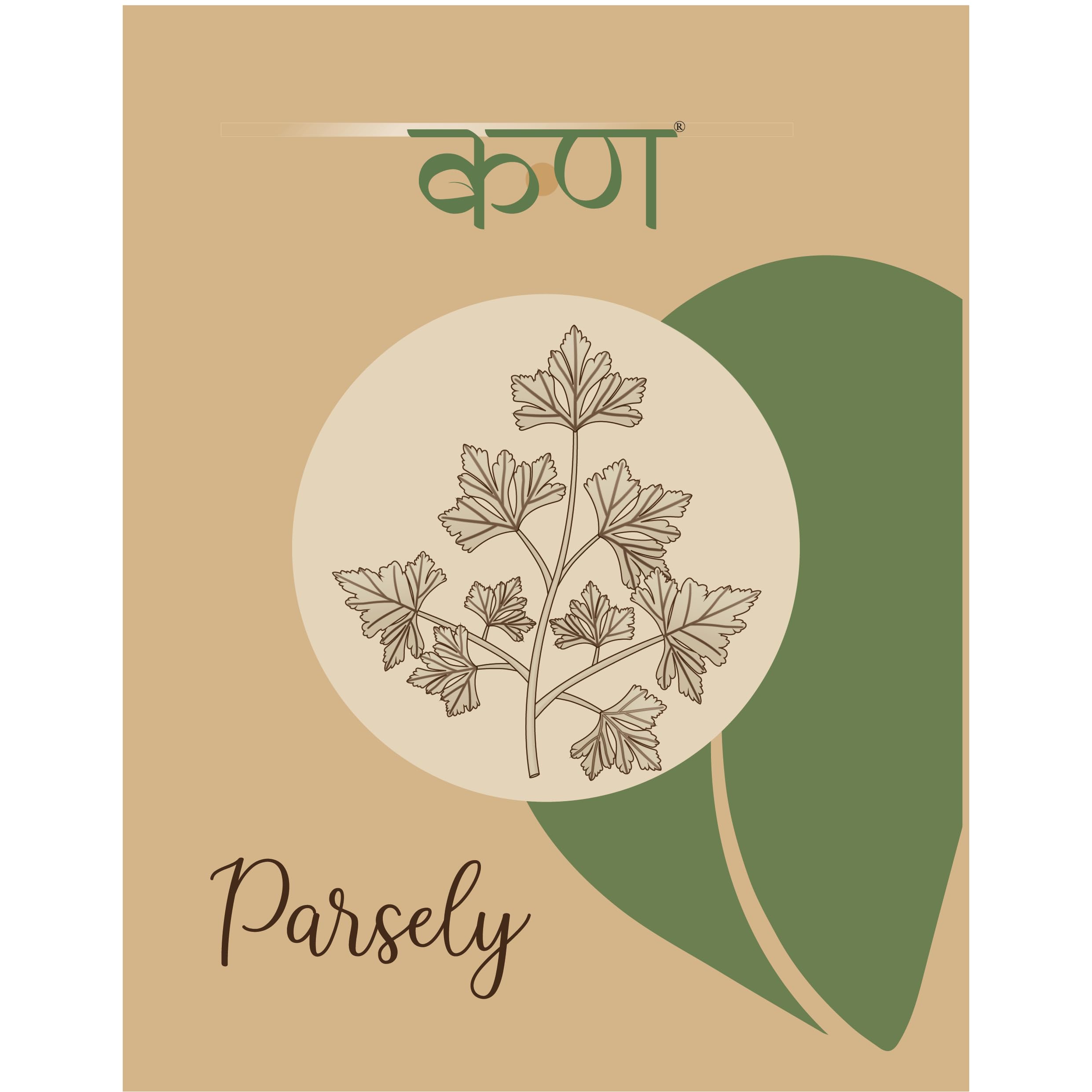 Kern SeedTech Organic Parsley Seeds Exotic Pack of 425 Seeds | High Germination Rate | Non-GMO