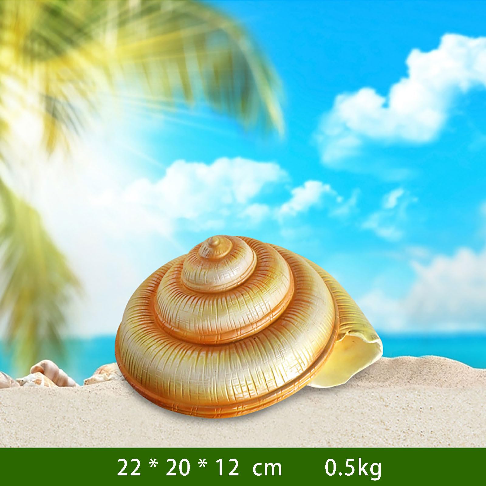 Decoración de Concha Resina y Fibra Vidrio | Decoración de conchas marinas de varios tamaños for bodas en la playa, acuario en casa(Medium)