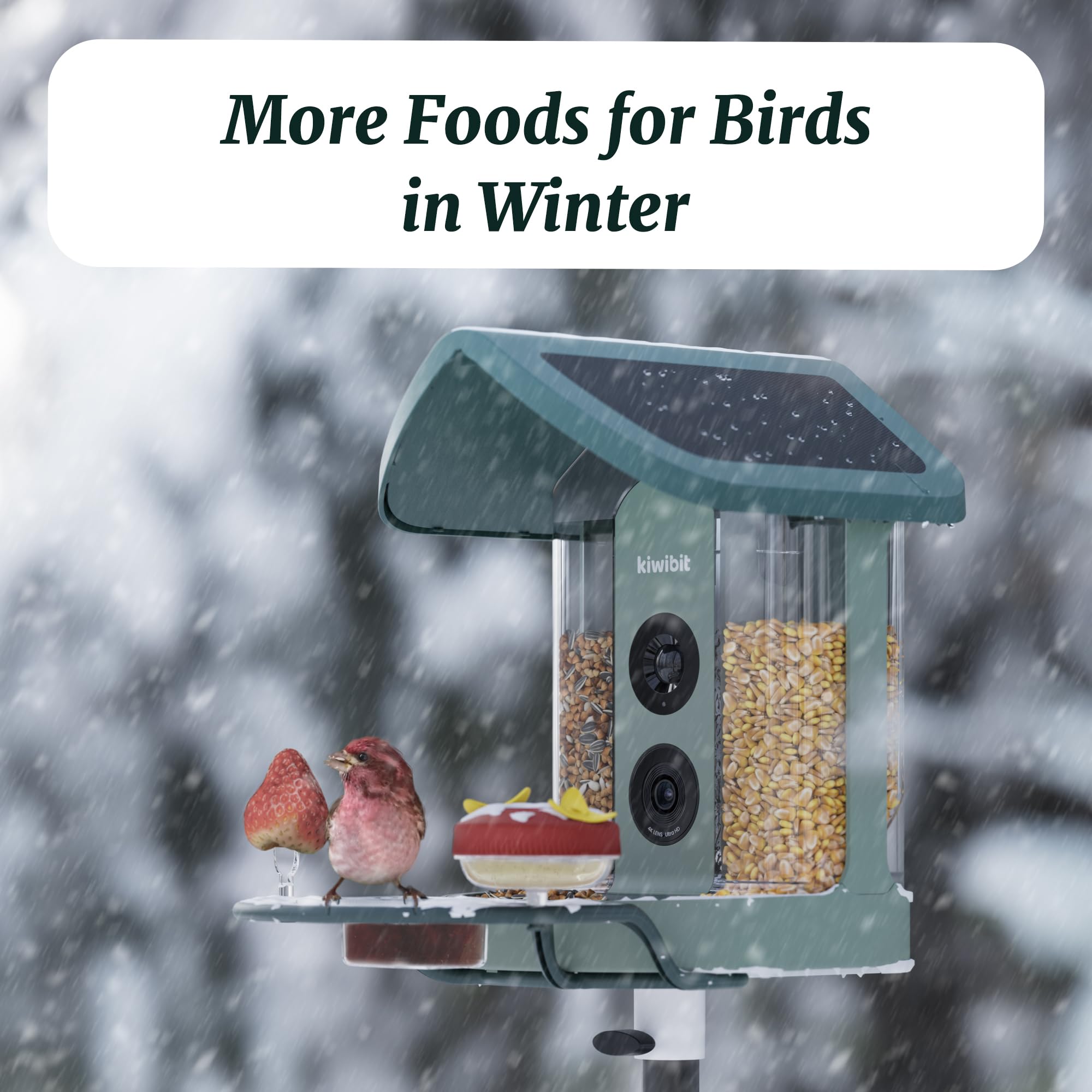 Kiwibit Beako - Kit completo de comedero para pájaros, incluye mini comedero de colibrí, 2 soportes para frutas, comedero de gelatina, compatible con Beako Smart Bird Feeder con cámara para atraer más