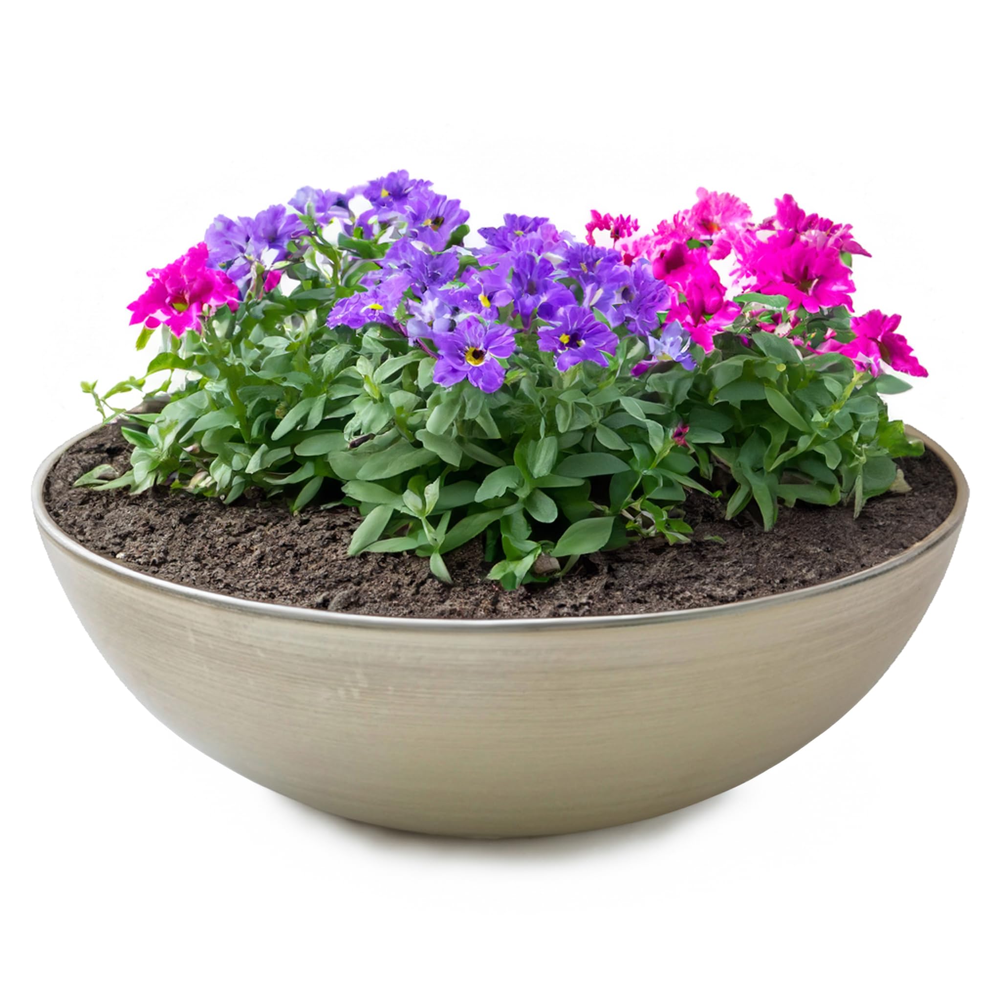 matches21 HOME & HOBBY Outdoor Plant Bowl Champagne Beige 25 x 9 cm Weatherproof Flower Bowl