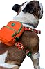 Design, Gimme Five, Turuncu Çantalı Göğüs Tasması,Köpek Sırt Çantası – Göğüs Tasması İşlevli, Geri Dönüştürülmüş Malzeme, Ayarlanabilir,