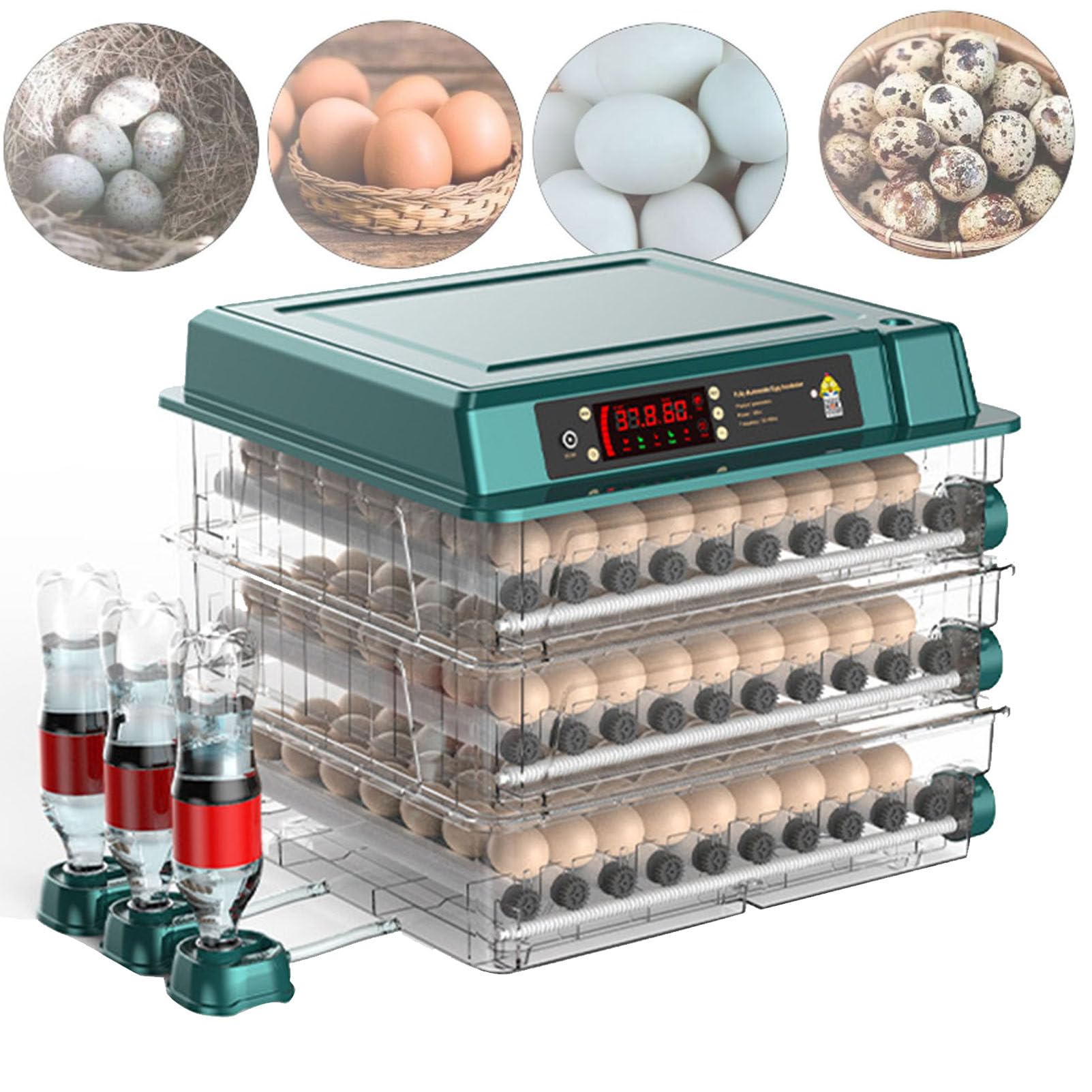 Incubatrice Digitale per Uova di pollame con girauova Automatico, Controllo di Temperatura e umidità, Schermo LED (152Eggs)