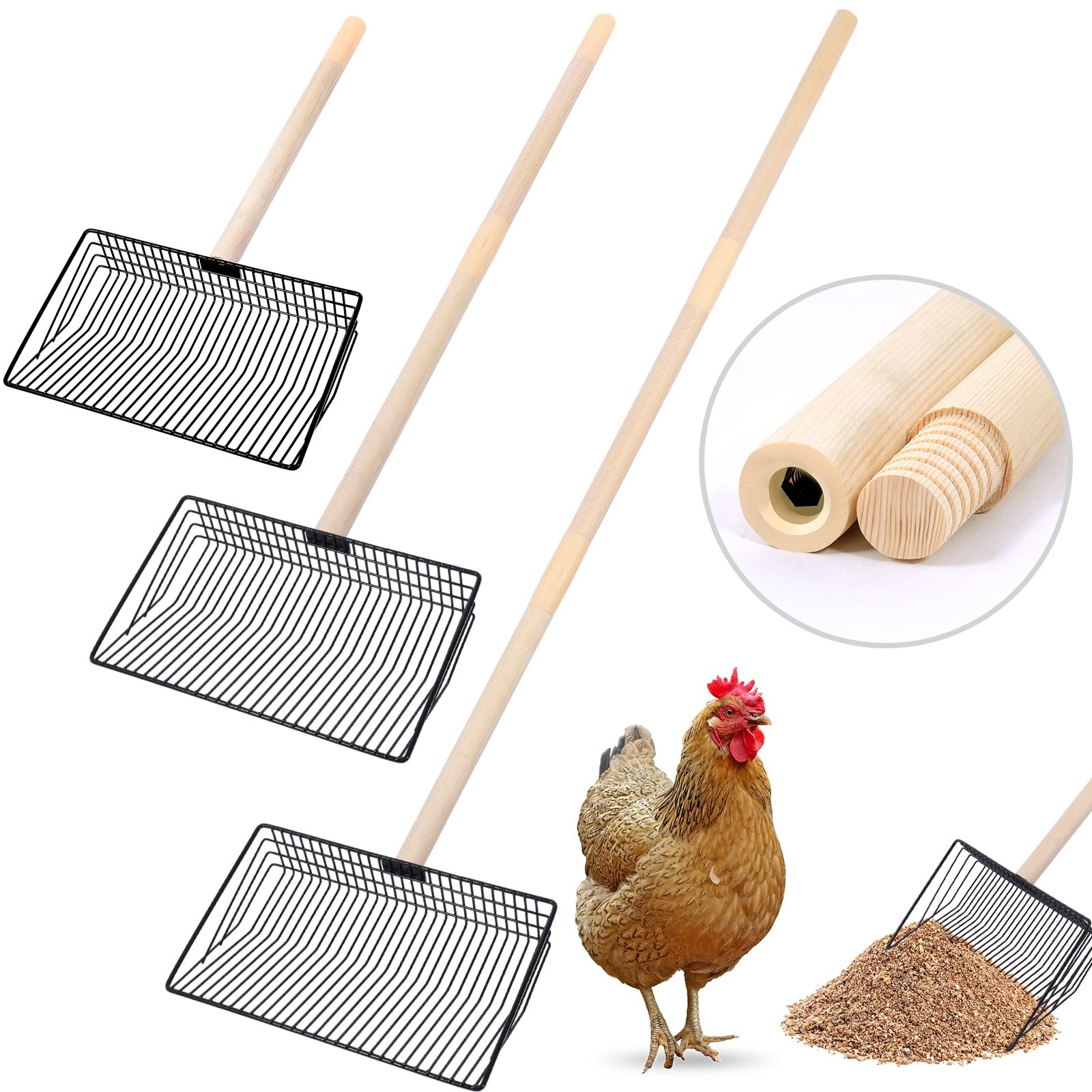 10inch Large Chicken Poop Scooper - 3-in-1 Detachable Tool (20 to 42 inches), Wooden Handle, Stainless Steel Chicken Coop Cleaning Tool, Heavy-Duty Poop Shovel for Chicken Coop Accessories