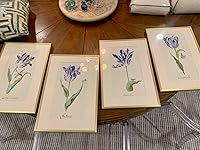 Review Image by Mamaphive Mamaphive