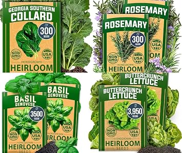 HOME GROWN Genovese Basil Seeds 2 Pack - 3500 & Buttercrunch Lettuce Seed Pack - 3950 & Rosemary Seeds Pack - 300 & Collard Greens Georgia Southern - 300