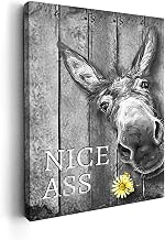 Kasluolo Donkey Bathroom Decor Wall Art Nice Ass - Funny Donkey Picture Wall Decor Farmhouse Black and White Painting Wall Décor for Bathroom Toilet Framed Artwork 12x16 inch