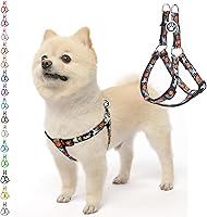Vista 77 de PUPTECK Arnés para perro sin tirones, suave y ajustable, de nailon básico, chaleco para cachorros para caminar al aire libre con etiqueta
