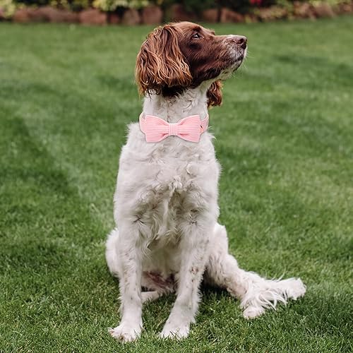 Miniatura 351 de Collar de perro con bandera estadounidense con pajarita, collar patriótico para perros pequeños, medianos y grandes, talla XS