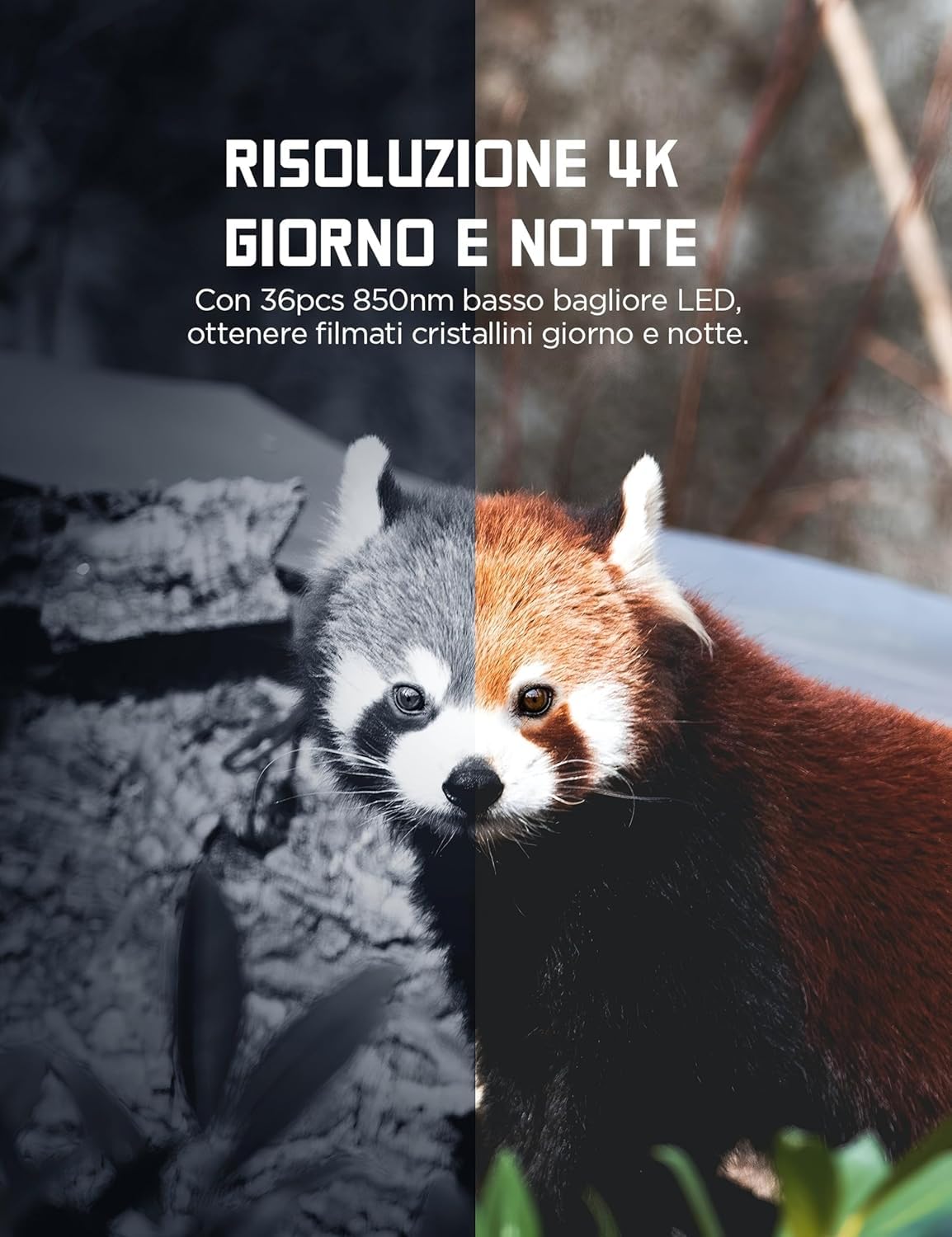 CEYOMUR Fototrappola 48MP 4K 30fps, Fotocamera caccia con IR Visione Notturna, Timer e Design Impermeabile IP66 con scheda SD da 32GB e batterie per la Caccia e l'osservazione la Fauna
