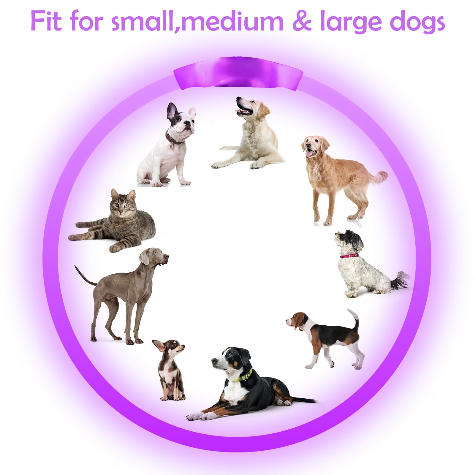 BSEEN - Collare luminoso per cani, ricaricabile tramite USB, con flash, collare di sicurezza per animali domestici, rende i tuoi amati cani visibili di notte per cani di taglia piccola, media e grande