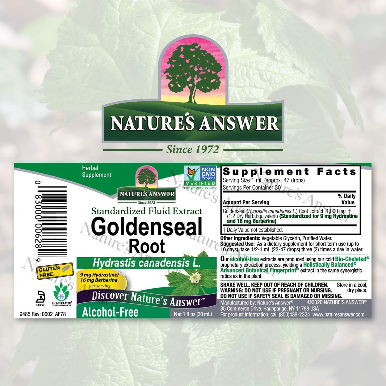 Nature's Answer Goldenseal Root | Herbal Supplement | Supports A Healthy Immune System | Gluten-Free & Alcohol-Free 1oz