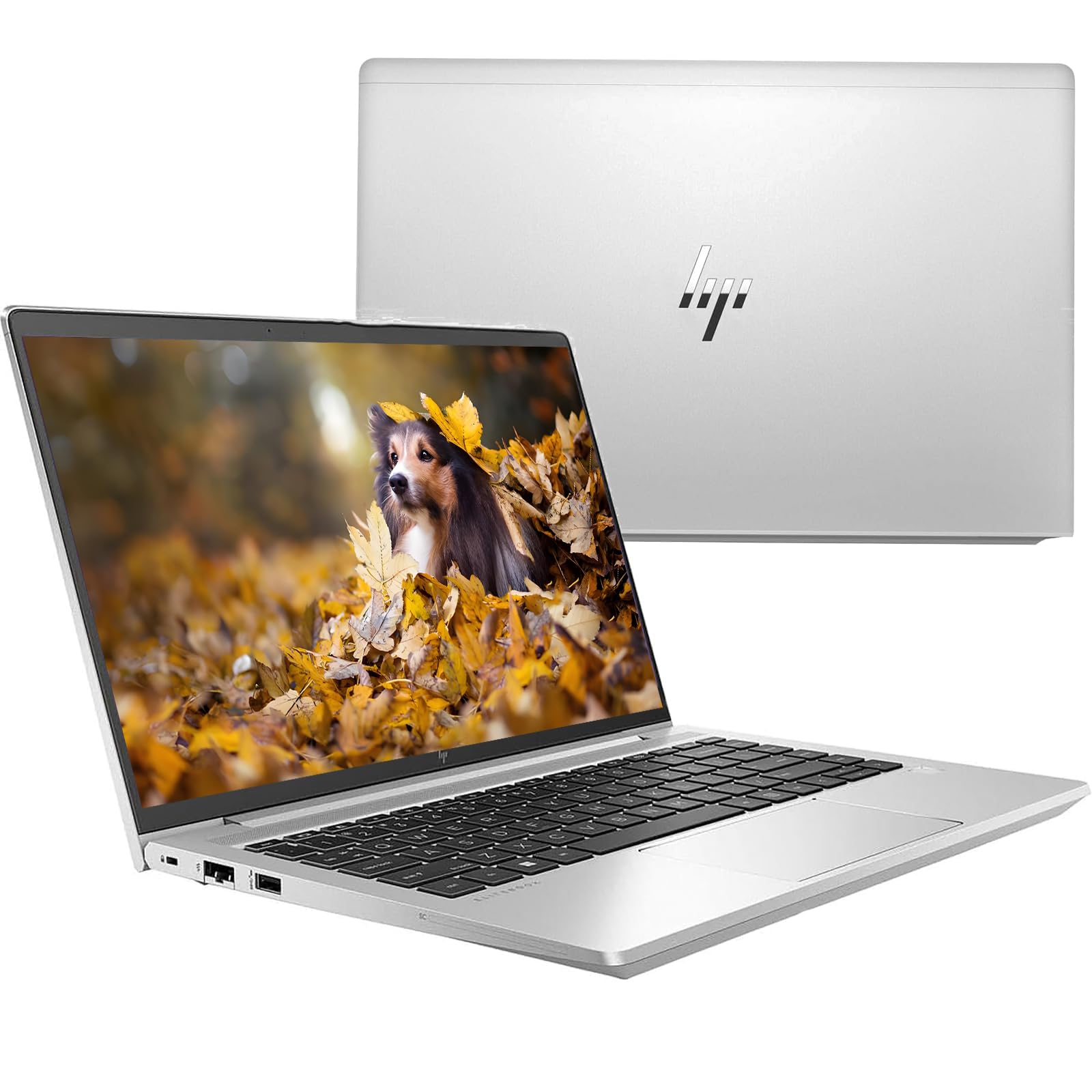 HP EliteBook 645 G9 Business Laptop, 14 pollici FHD (1920 x 1080), AMD Ryzen 5 Pro 5675U, 8 GB RAM, SSD da 256 GB, nessuna fotocamera, tastiera US QWERTY Windows 11 Pro (ricondizionato)