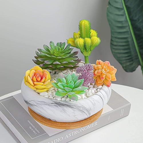 Miniatura 7 de ARTKETTY Macetas para suculentas  Macetas grandes para suculentas con drenaje de cerámica para bonsái con bandeja, macetas poco profundas para