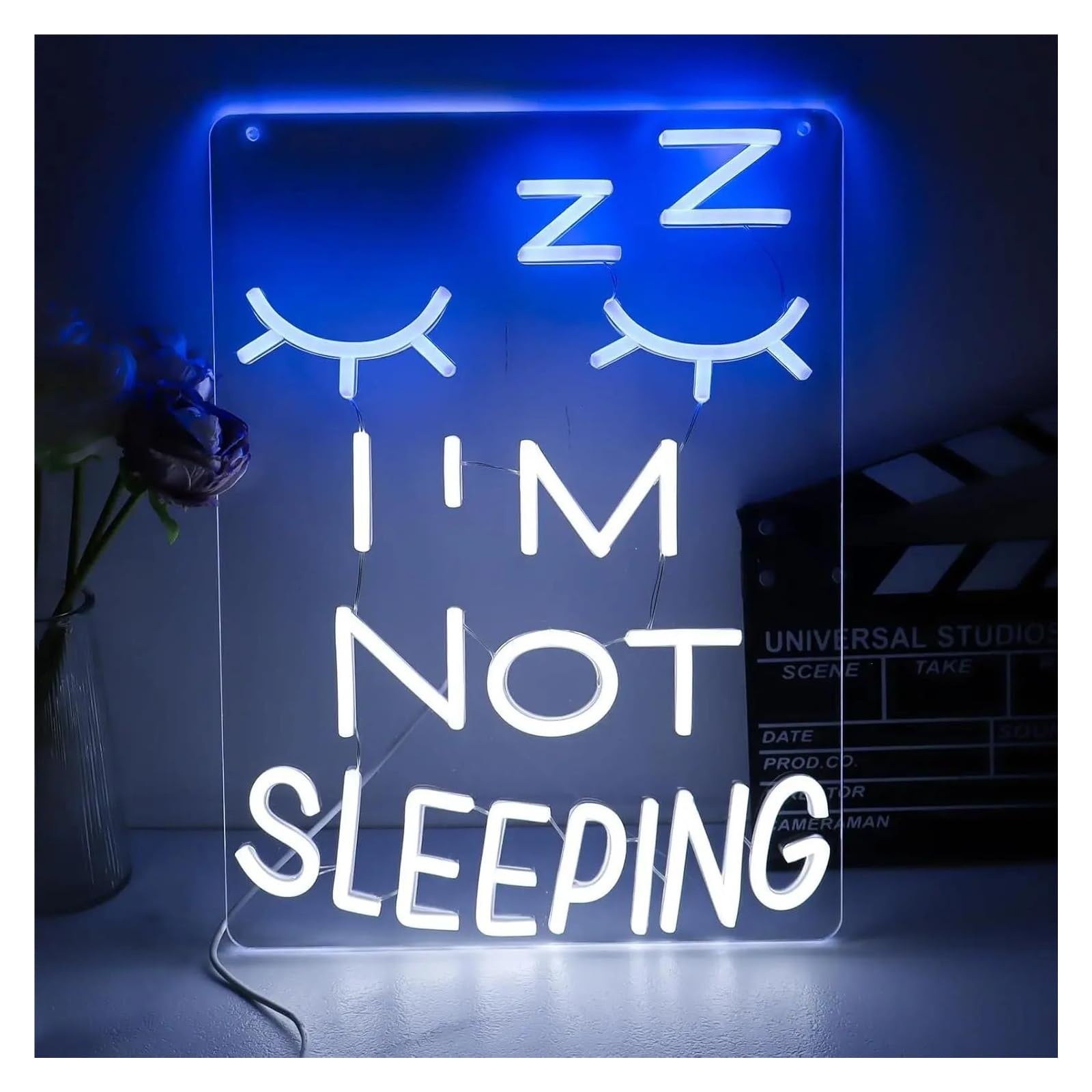 LEMST Sign Lamp I'm Not Sleeping Neon Light USB Powered, with Dimmer, Adjustable Brightness,for Bedrooms, Game Rooms, Fun Decor 30x40cm