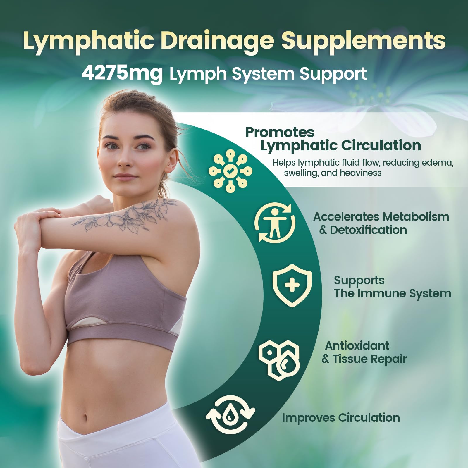 VivoNu Lymphatique 240 pcs - Soutient l'Absorption Système Immunitaire - l'Équilibre et le Bien-Être - Contre Jambes Lourdes - 100% Naturel - Sans OGM