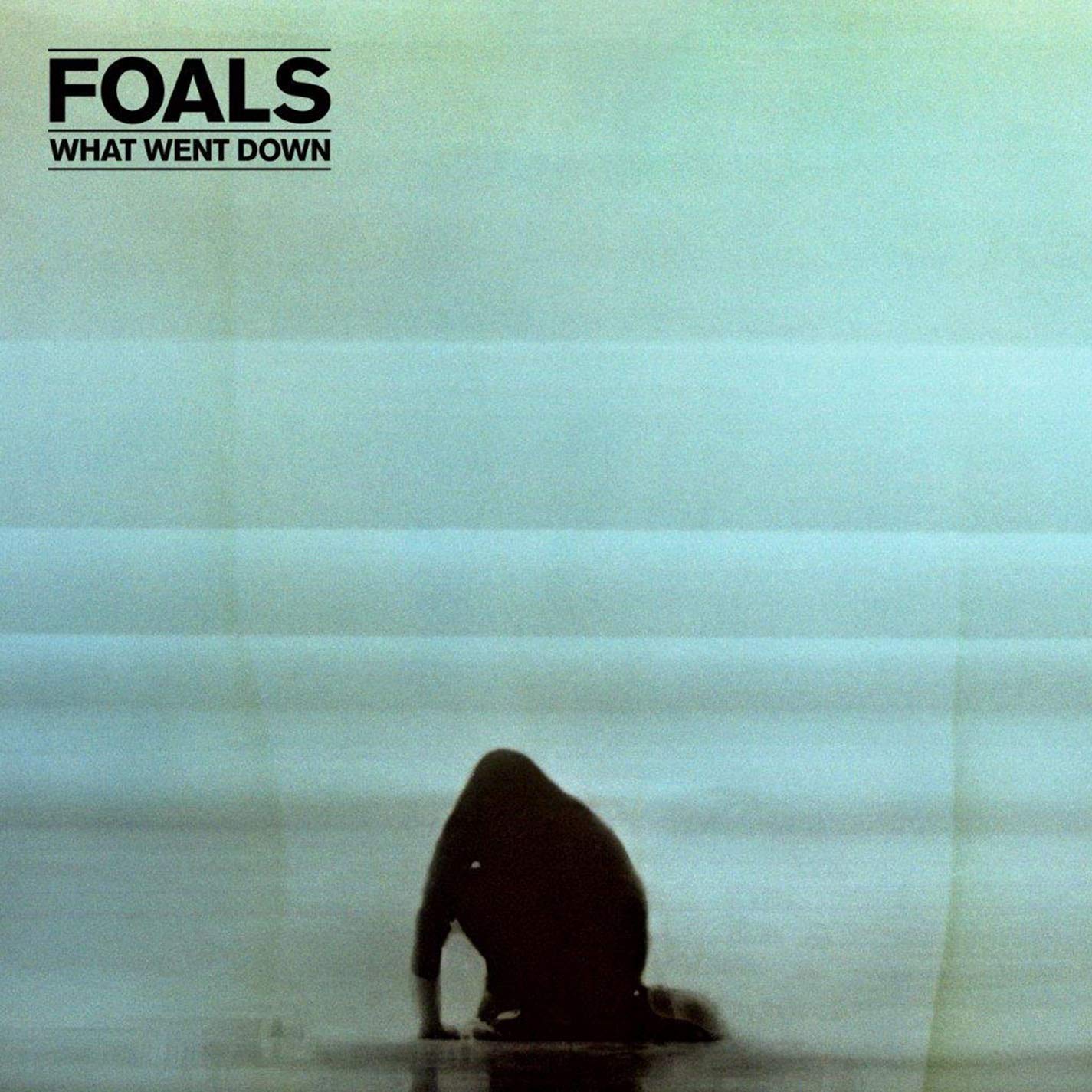 What Went Down [Deluxe - CD+DVD]