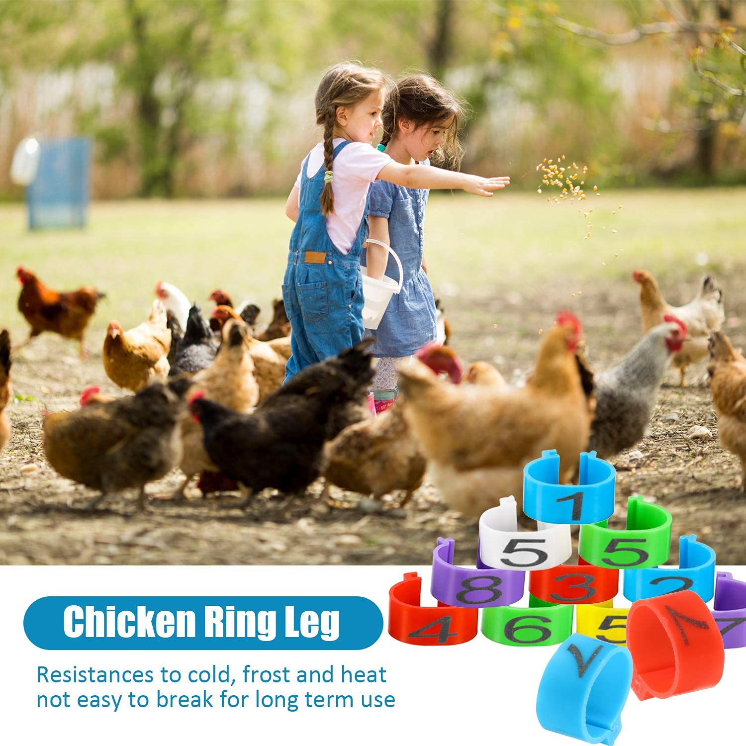 100 Anelli Identificazione Per Polli - Numerati E Colorati Per Pollame E Uccelli - Foto 4