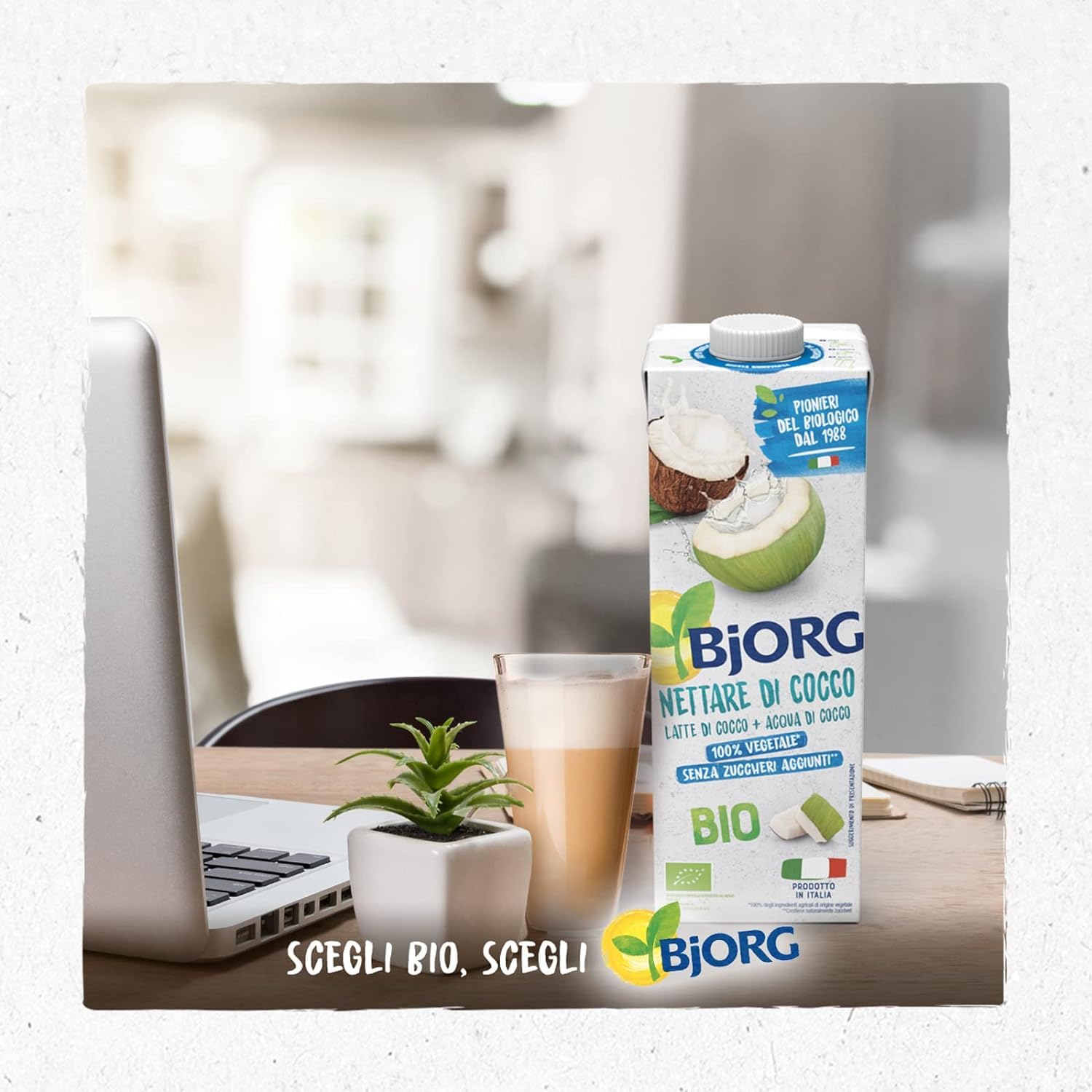 BJORG Bevanda Nettare di Cocco Biologica, Acqua di Cocco e Latte di Cocco, Bevanda Vegetale Senza Zuccheri Aggiunti, Senza Glutine, Vegan, Prodotto in Italia, 1L (Confezione da 9)