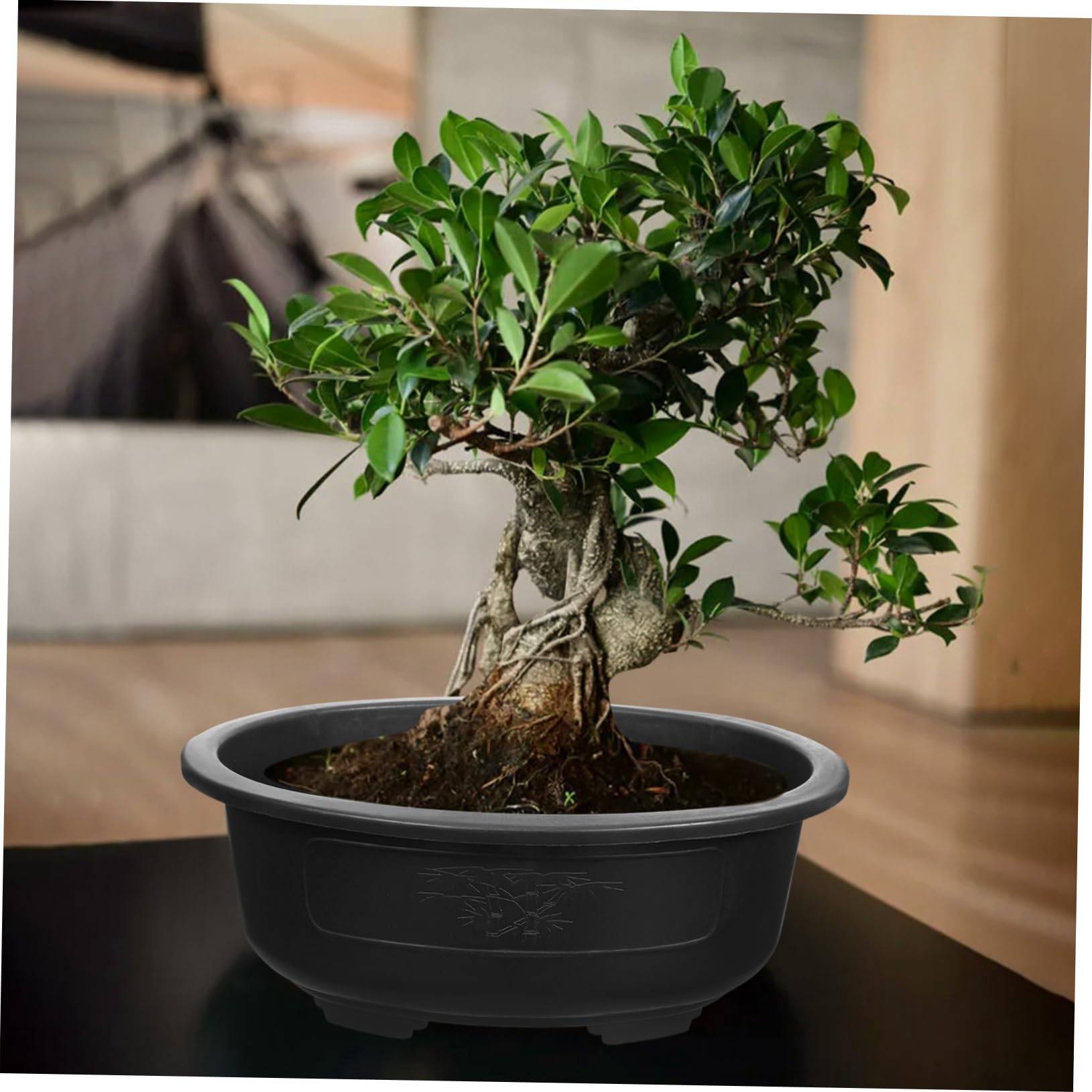 TOYANDONA 2 Pots De Fleurs Plastique Grande Taille 14.96In X 11.81In X 5.51In avec Drainage pour Jardin IntéRieur ExtéRieur Bonsaï Et DéCoration Balcon Bureau