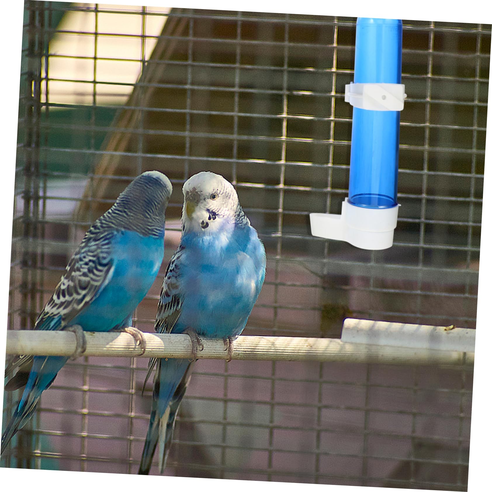 POPETPOP 12piezas Botella De Agua Automática para Pájaros Bebedero De Plástico para Periquitos y Canarios Instalación y Accesorios para Transparente