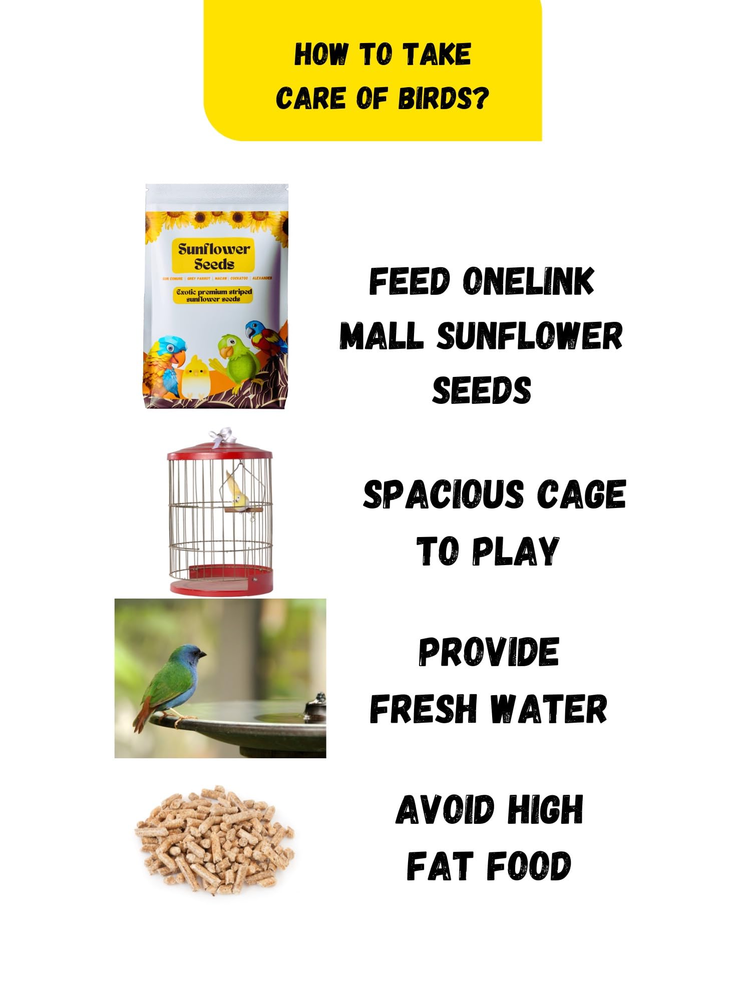ONELINK MALL Adult Bird Food for PAROTS Jumbo Sunflower Seeds; Conures,Macaw,Grey Parrot & Other Exotic Birds (750 Gm) 2