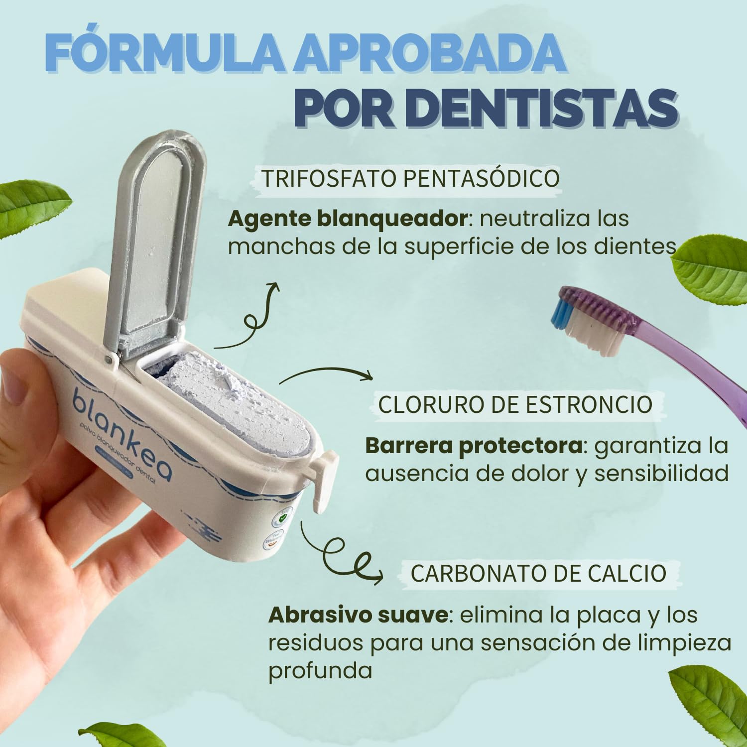 Blankea Polvo Blanqueador Dental Profesional - Pasta de Dientes Blanqueante - Blanqueamiento Dental en Casa - Elimina las Manchas de Café, Té, Vino, Sarro y Placa Dental (40 g (1 caja))