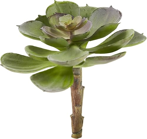 Miniatura 8 de Nearly Natural 6105-BG-S12 Echeveria Suculenta, 6 pulgadas, borgoña, juego de 12