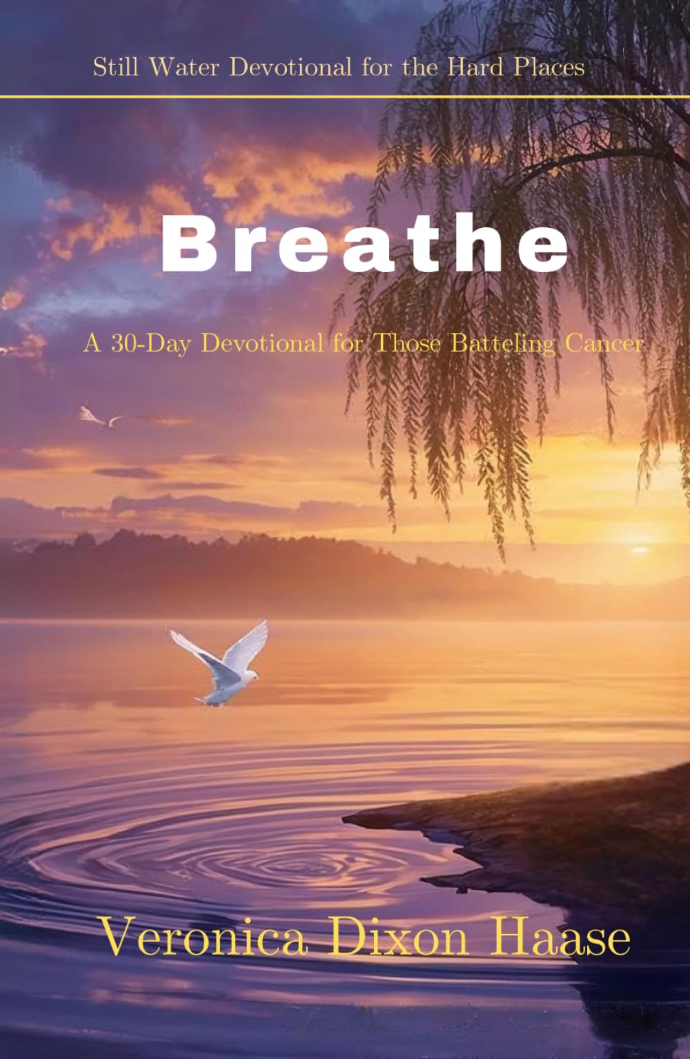 Breathe: A 30-Day Devotional for Those Battling Cancer (Still Waters: Devotionals for the Hard Places)